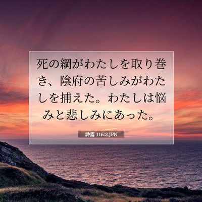 詩篇 116:3 聖書の一節の解説
