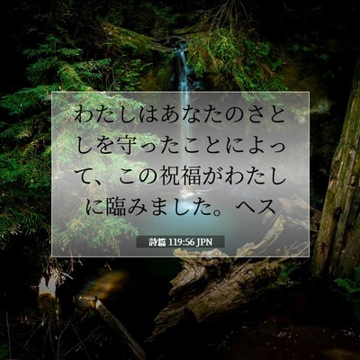 詩篇 119:56 聖書の一節の解説