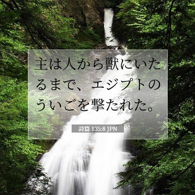 詩篇 135:8 聖書の一節の解説