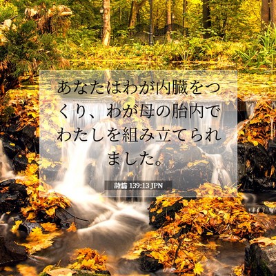詩篇 139:13 聖書の一節の解説