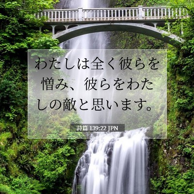 詩篇 139:22 聖書の一節の解説
