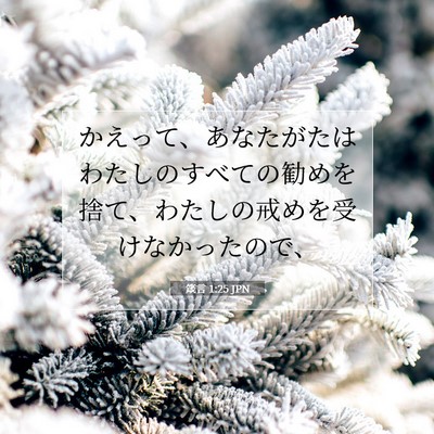 箴言 1:25 聖書の一節の解説