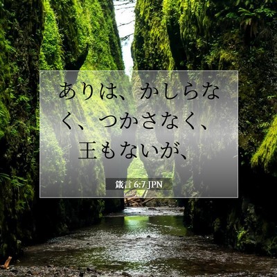 箴言 6:7 JPN 聖書の一節の画像