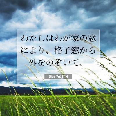 箴言 7:6 聖書の一節の解説
