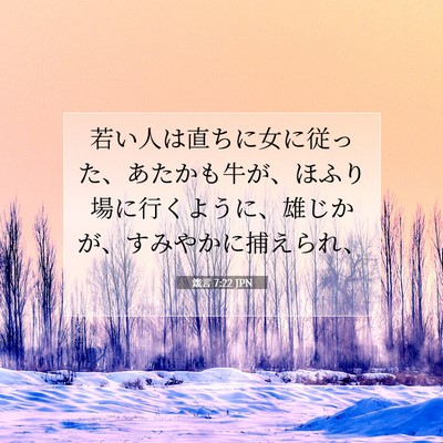 箴言 7:22 聖書の一節の解説