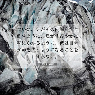 箴言 7:23 聖書の一節の解説