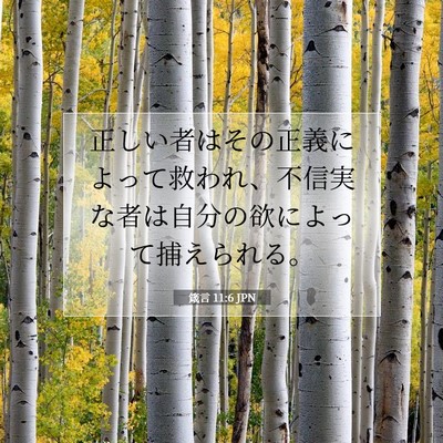箴言 11:6 聖書の一節の解説