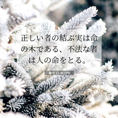 箴言 11:30 JPN 聖書の一節の画像