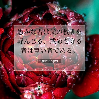 箴言 15:5 聖書の一節の解説