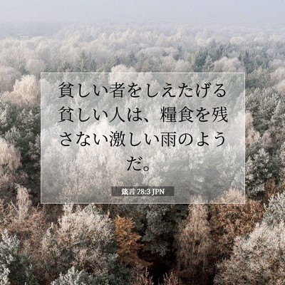 箴言 28:3 聖書の一節の解説