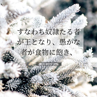 箴言 30:22 聖書の一節の解説
