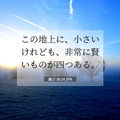 箴言 30:24 聖書の一節の解説