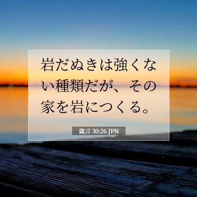 箴言 30:26 聖書の一節の解説