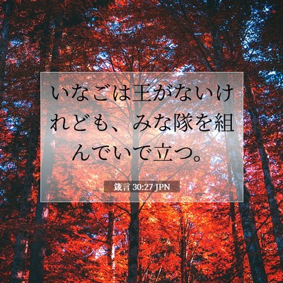 箴言 30:27 聖書の一節の解説