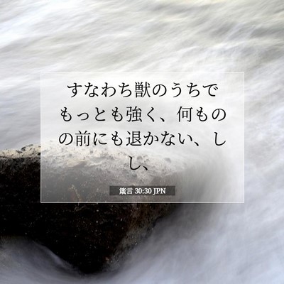 箴言 30:30 聖書の一節の解説