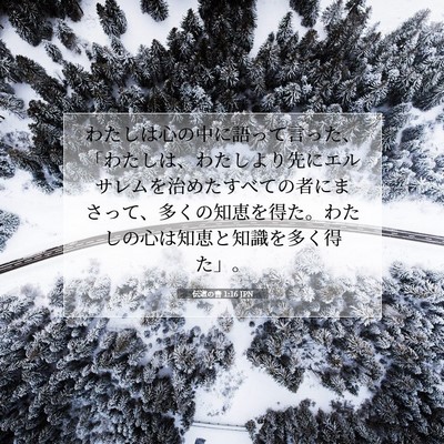 伝道の書 1:16 聖書の一節の解説