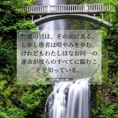 伝道の書 2:14 聖書の一節の解説