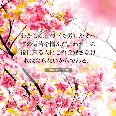 伝道の書 2:18 聖書の一節の解説