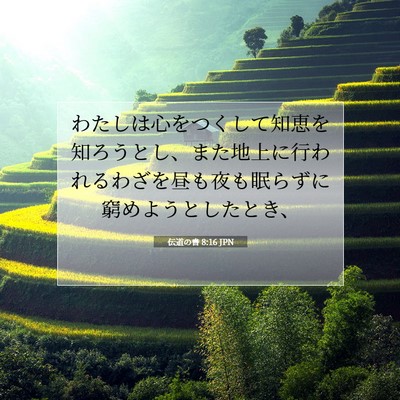 伝道の書 8:16 聖書の一節の解説