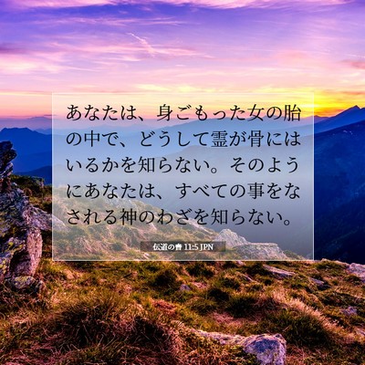 伝道の書 11:5 聖書の一節の解説