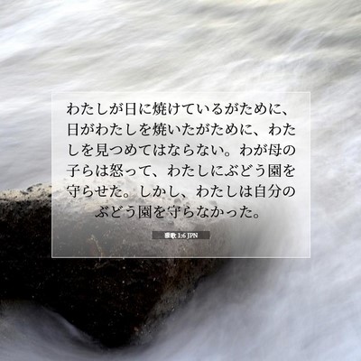 雅歌 1:6 聖書の一節の解説