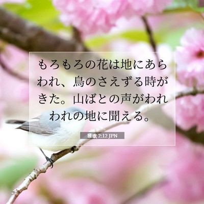 雅歌 2:12 聖書の一節の解説
