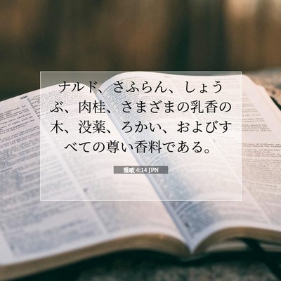 雅歌 4:14 聖書の一節の解説