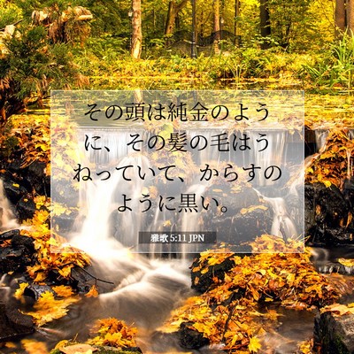雅歌 5:11 聖書の一節の解説