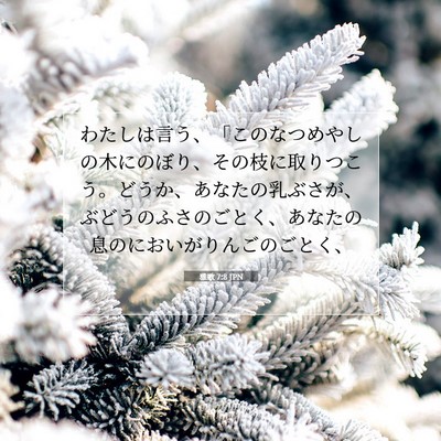 雅歌 7:8 聖書の一節の解説