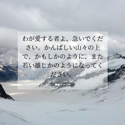 雅歌 8:14 聖書の一節の解説