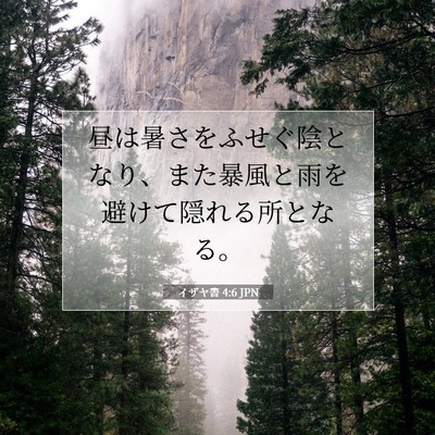 イザヤ書 4:6 聖書の一節の解説