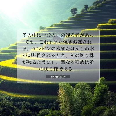 イザヤ書 6:13 JPN 聖書の一節の画像