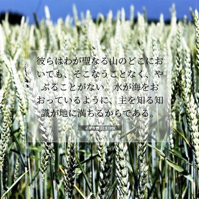 イザヤ書 11:9 JPN 聖書の一節の画像