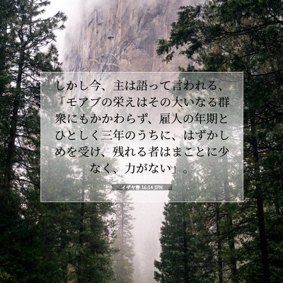 イザヤ書 16:14 JPN 聖書の一節の画像