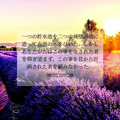 イザヤ書 22:11 JPN 聖書の一節の画像