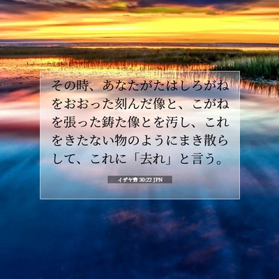 イザヤ書 30:22 JPN 聖書の一節の画像