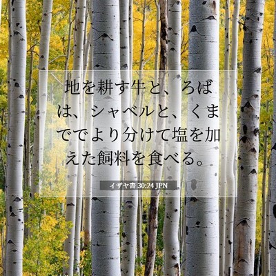 イザヤ書 30:24 聖書の一節の解説