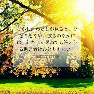 イザヤ書 41:28 聖書の一節の解説