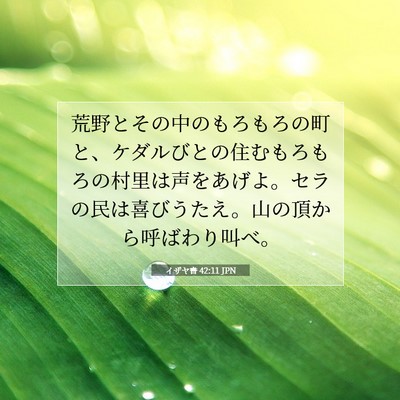 イザヤ書 42:11 聖書の一節の解説