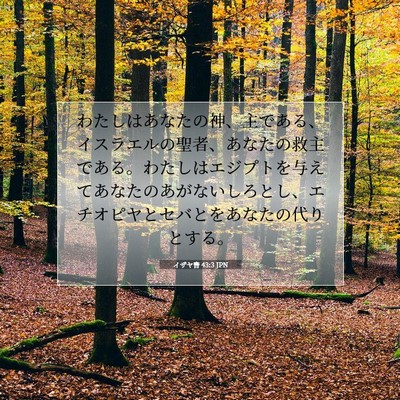 イザヤ書 43:3 聖書の一節の解説