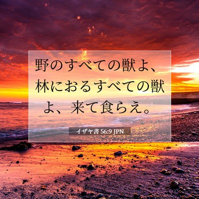 イザヤ書 56:9 聖書の一節の解説