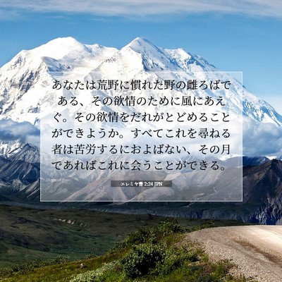エレミヤ書 2:24 聖書の一節の解説