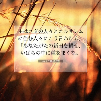 エレミヤ書 4:3 JPN 聖書の一節の画像