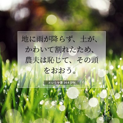 エレミヤ書 14:4 聖書の一節の解説