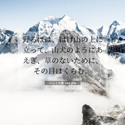 エレミヤ書 14:6 聖書の一節の解説
