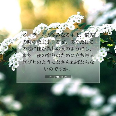 エレミヤ書 14:8 JPN 聖書の一節の画像