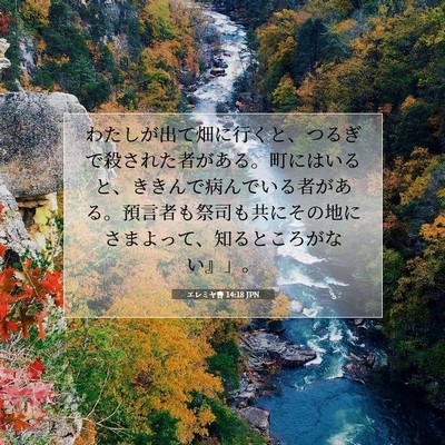 エレミヤ書 14:18 聖書の一節の解説