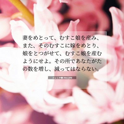 エレミヤ書 29:6 聖書の一節の解説