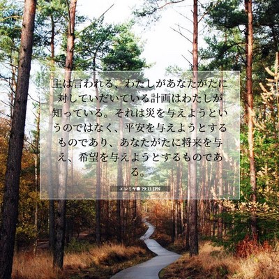 エレミヤ書 29:11 JPN 聖書の一節の画像