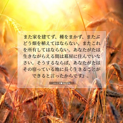 エレミヤ書 35:7 聖書の一節の解説